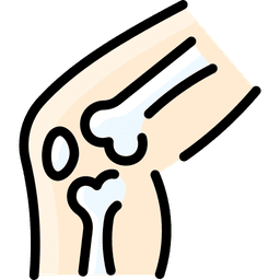 /uploads/Acl_new_cd11b7899d.png