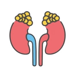 /uploads/Addisons_disease_image_removebg_preview_dca6a07feb.png