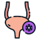 /uploads/bladder_1c9e1465b2.png