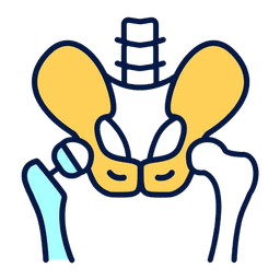 /uploads/hip_removebg_preview_60500e4204.png