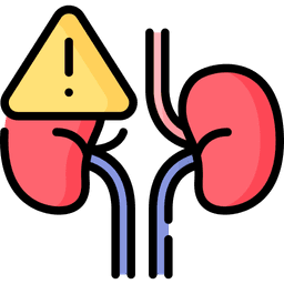 /uploads/kidney_fc0a94ade4.png