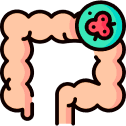/uploads/rectal_cancer_4bdb972989.png