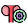 /uploads/torsion_of_testis_bd085aca03.png