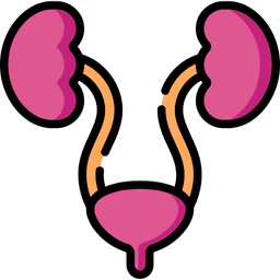 /uploads/urology_d9fa759e43.png