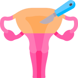 /uploads/uterus_removal_96e485b233.png