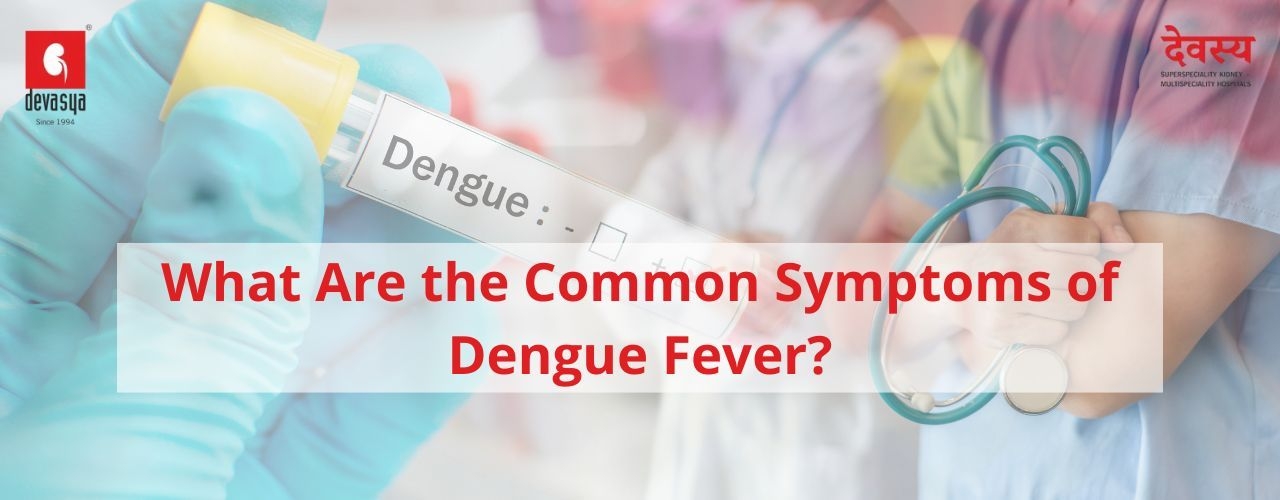 what-are-the-common-symptoms-of-dengue-fever.jpg