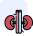 Nephrology.png